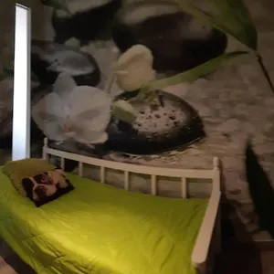 Apartamento Club Paraiso Playa Paraíso
